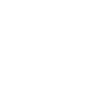Tel-Aviv University logo