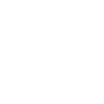 Logo of Orenshtein Hoshen consulting company
